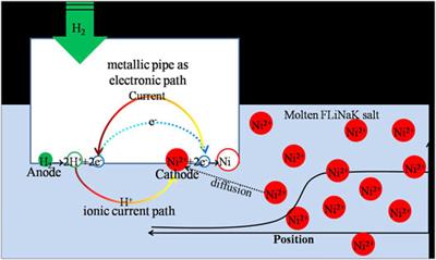Study on the Mechanism of Failure in the LiF–NaF–KF Molten-Salt-Purifying Processing System